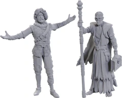 Baldur's Gate Volo and Withers Minis